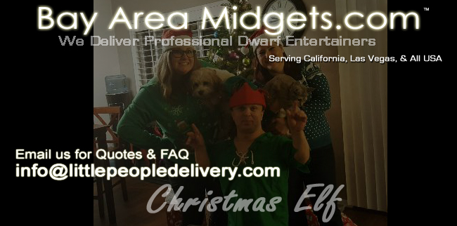 christmas elf