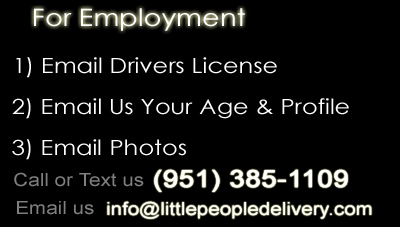 bay area employment